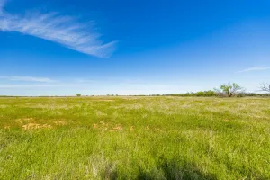 Coleman, TX 76834