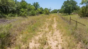 Stephenville, TX 76401