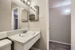 Dallas, TX 75224