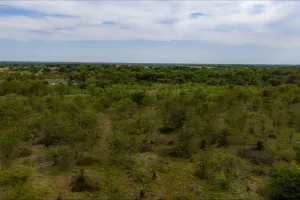 Wills Point, TX 75169