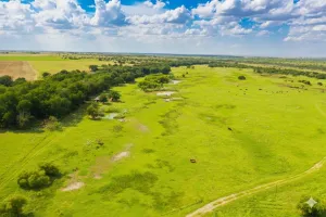 Harrold, TX 76364