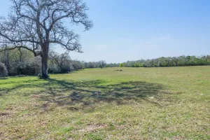 Rockdale, TX 76567