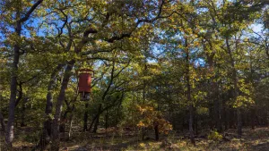 Collinsville, TX 76233