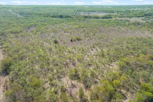 Terrell, TX 75160
