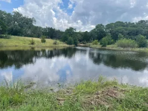 Marble Falls, TX 78654