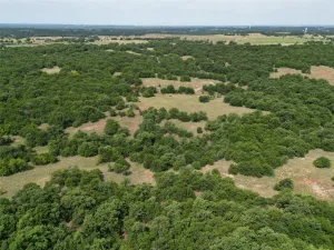 Nocona, TX 76255