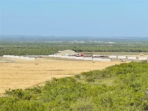 Bronte, TX 76933