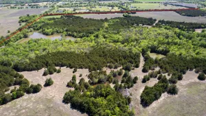 Blue Ridge, TX 75424