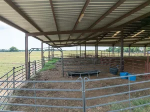 Brookston, TX 75421