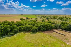 Harrold, TX 76364