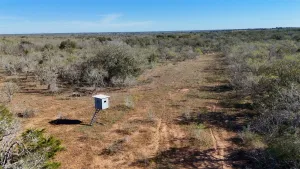 Gonzales, TX 78632