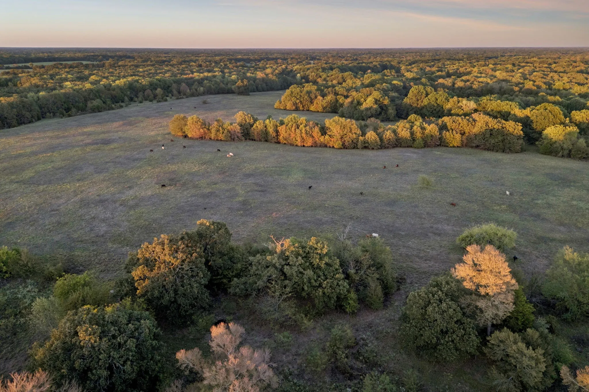 Point, TX 75472