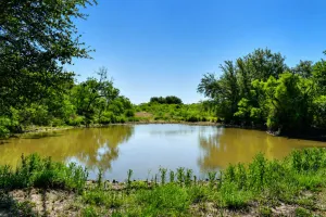 Rochelle, TX 76872