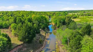 Forestburg, TX 76239