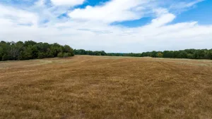 Pittsburg, TX 75686