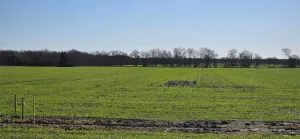 Forney, TX 75126