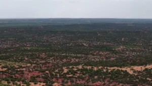 Childress, TX 70201