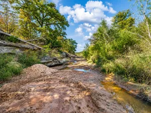St Jo, TX 76265