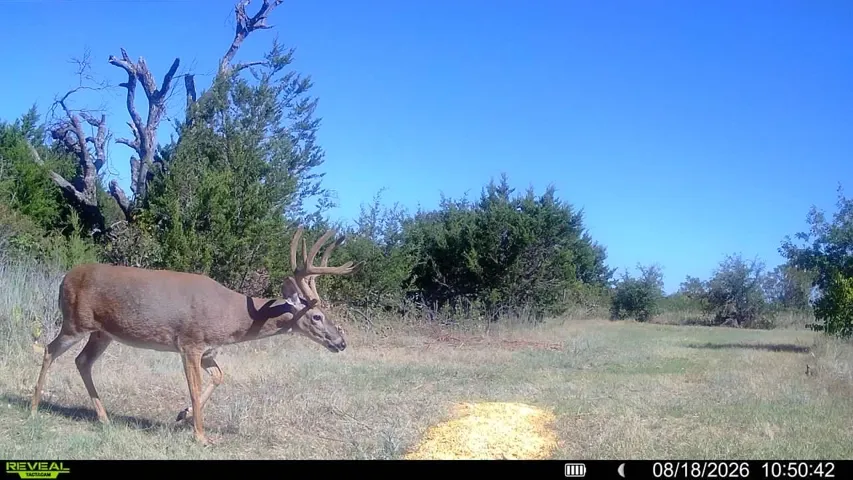 May, TX 76857