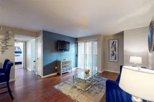 Irving, TX 75061