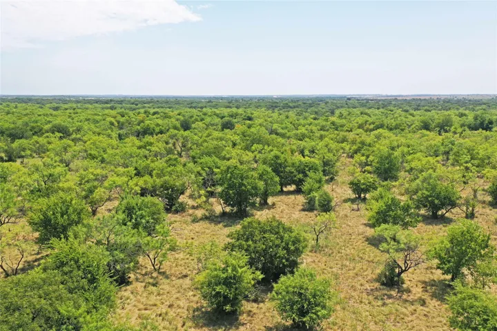 Perrin, TX 76486