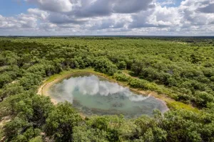 Santa Anna, TX 76878