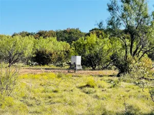 Bronte, TX 76933