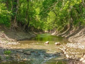Edgewood, TX 75117
