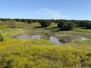 Carlton, TX 76436