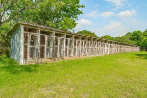 Walnut Springs, TX 76690