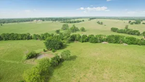 Honey Grove, TX 75446