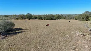 Gonzales, TX 78632