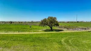 Dublin, TX 76446