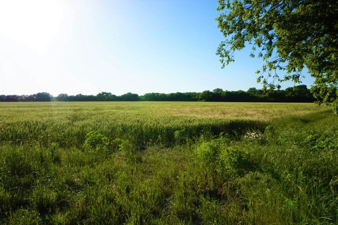 Sanger, TX 76266