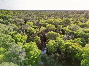 Carbon, TX 76435