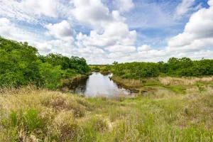 Savoy, TX 76479