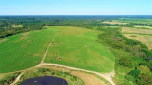 Winnsboro, TX 75494