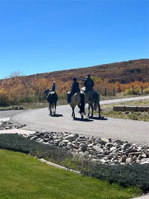 Durango, CO 81326