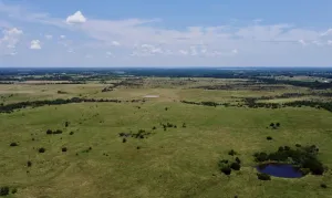 Southmayd, TX 76268
