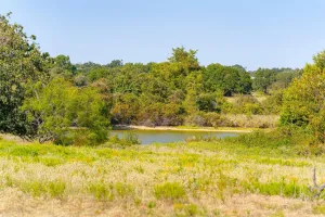 Decatur, TX 76234
