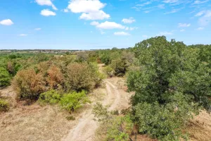 Perrin, TX 76486