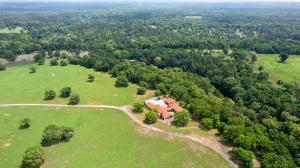 Winnsboro, TX 75494