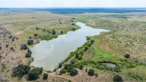 Throckmorton, TX 76843