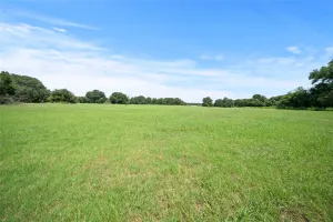 Cleburne, TX 76031
