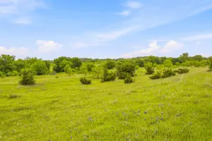 Aledo, TX 76008