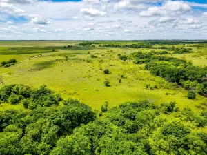 Bellevue, TX 76228