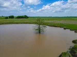 Covington, TX 76636