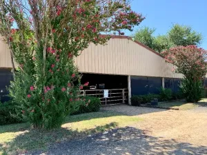 Pilot Point, TX 76258