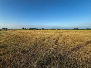 Honey Grove, TX 75446