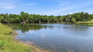 Denison, TX 75021